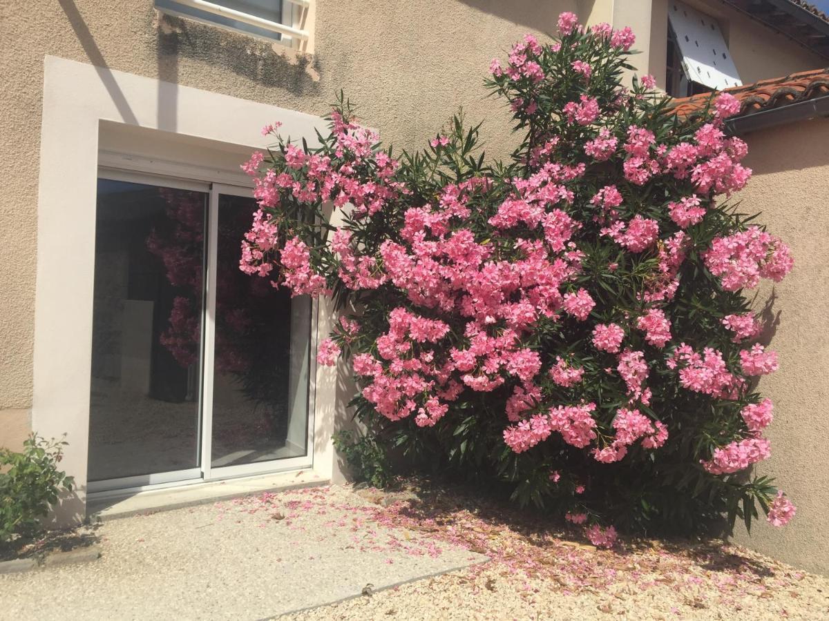 Gite De La Foye - Le Magnolia Combrand Bagian luar foto